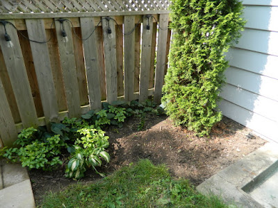 Riverdale backyard Toronto fall cleanup after by Paul Jung Gardening Services