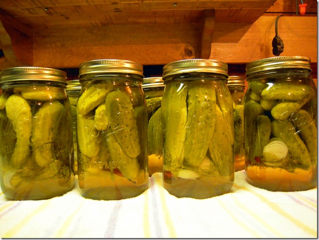 pickles 028