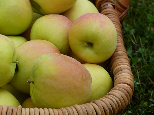 temporada-manzanas-europeas