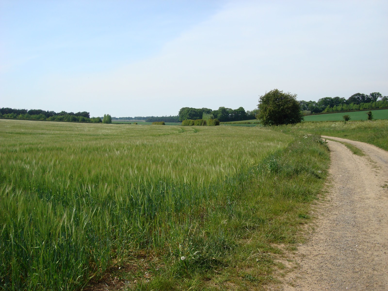 DSC08074.JPG