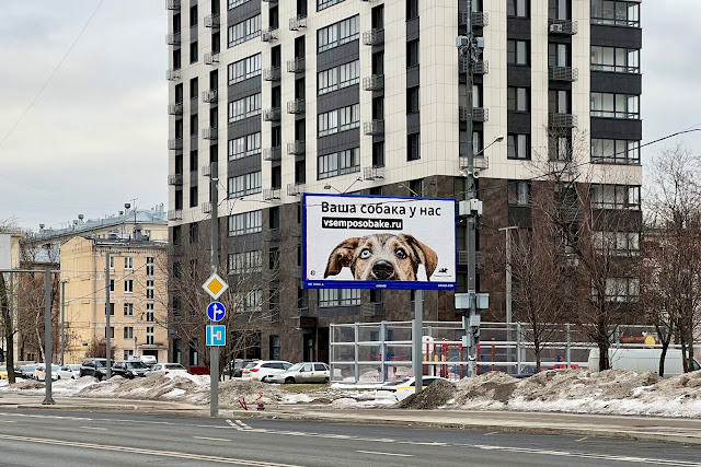 Шереметьевская улица, «Ваша собака у нас»