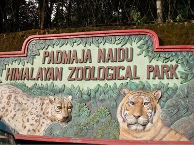 Padmaja Naidu Himalayan Zoological Park in Darjeeling recognised as best zoo