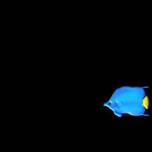 Kumpulan Animasi Bergerak  Ikan Karton ANIMASI DAN GAMBAR  