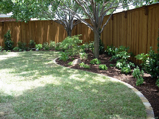 Texas Backyards