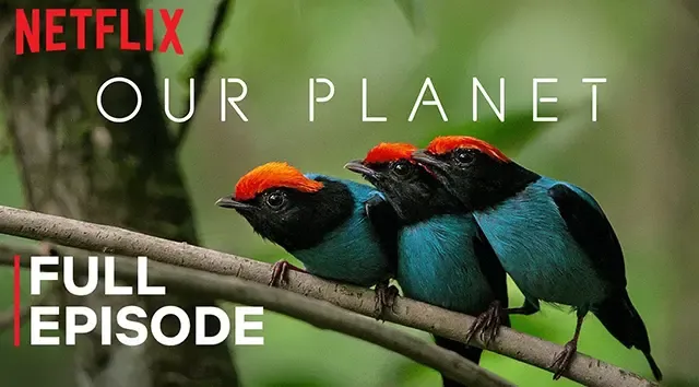 فيلم وثائقي عن كوكب الأرض