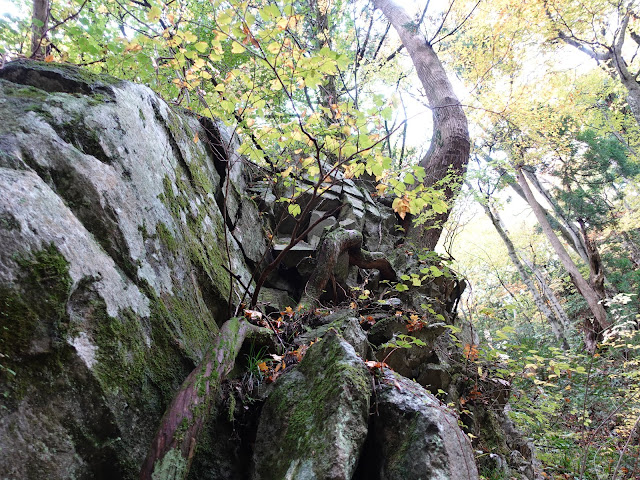 大神山神社の石畳参道