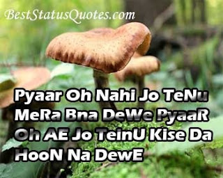 Punjabi Attitude Whatsapp Status