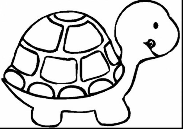Remarkable Turtle Animal Coloring Page With Print Coloring Pages And Print Coloring  Pages