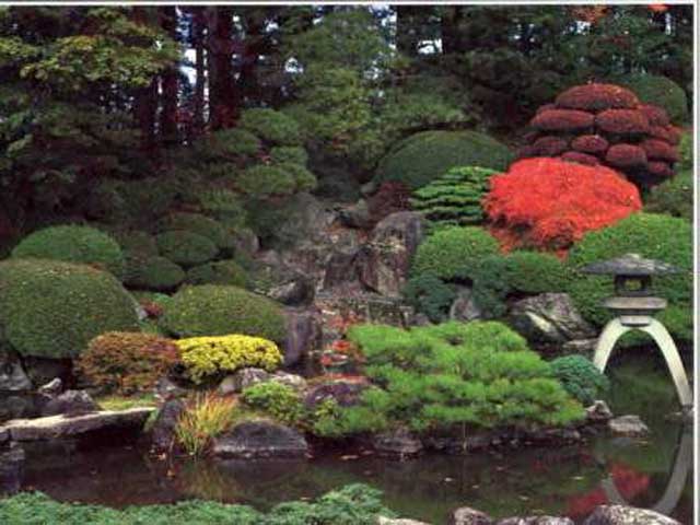  small  japanese  garden