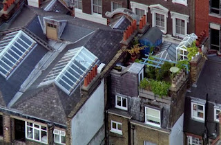 Rooftop garden