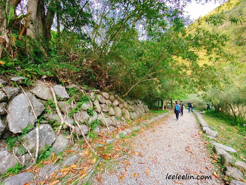 滿月圓國家森林遊樂區｜三峽森林芬多精景點~再訪發現園區變得煥然一新