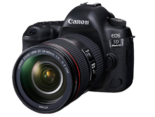 Best DSLR camera 2019: 10 great cameras to suit all budgets