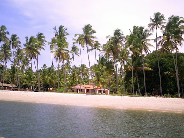 Praia dos Carneiros 