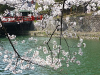 桜と船、絵になる風景