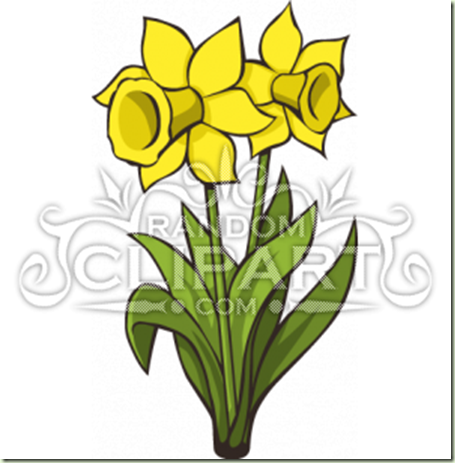 cartoon-daffodils-1033