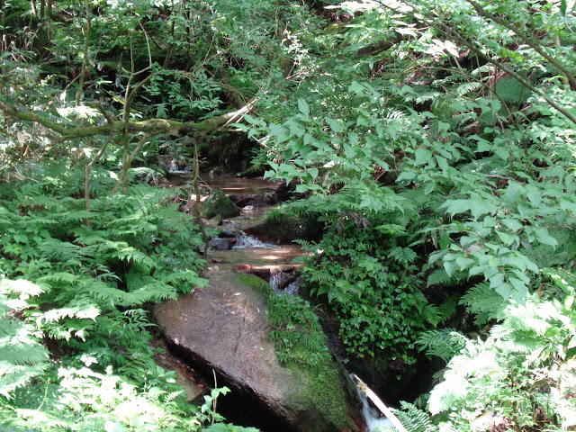 鎌倉山グリーンライン　こもれび広場