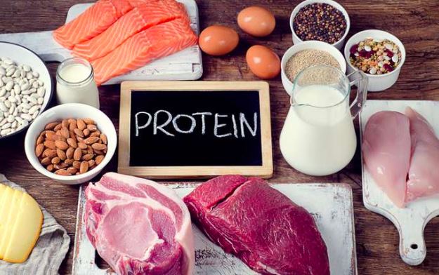 Rahasia Tersembunyi di Balik Protein yang Perlu Kamu Ketahui