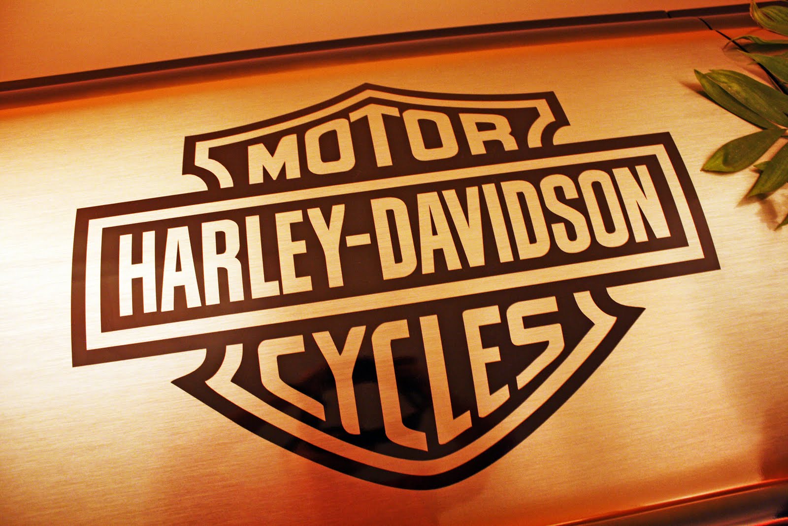 harley davidson logo wallpaper  and silver casket and had the Harley Davidson logo placed on top