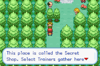 Pokemon FireRed A Reboot Screenshot 12