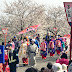 The Oiran Cherry Blossom Festival Report: Tsubame Sakura Festival - Oiran Dochu (つばめ桜祭り)