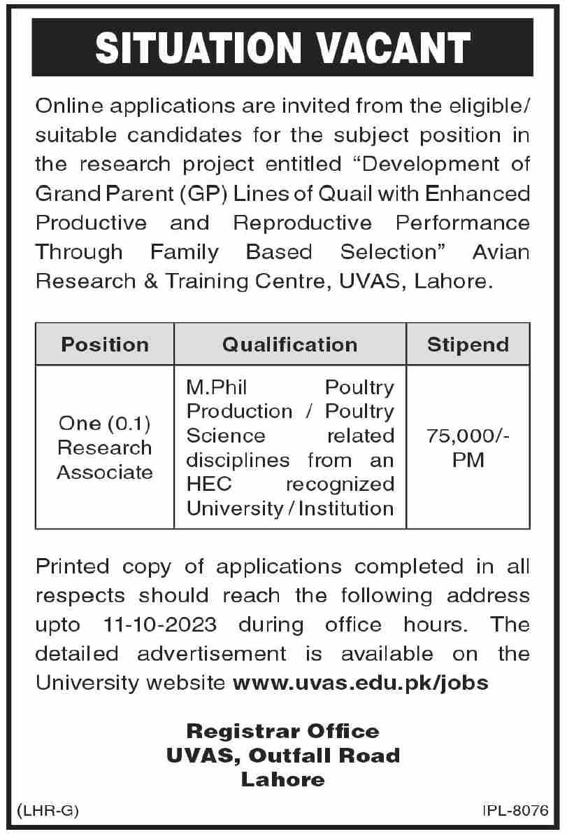 University of Veterinary and Animal Sciences UVAS Research Jobs In Lahore 2023