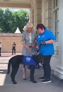 Duchess of Cornwall hosted a reception for Battersea