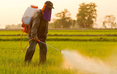 The Link Between Thyroid Disease & Pesticides | Wellness Clinic