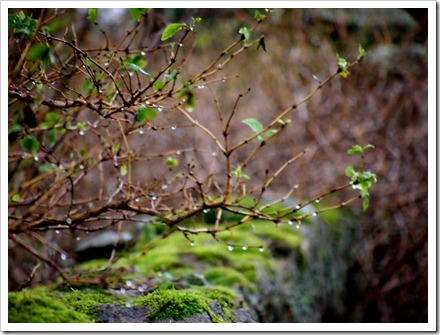 21 Dec 1 21-12-2011 13-08-51