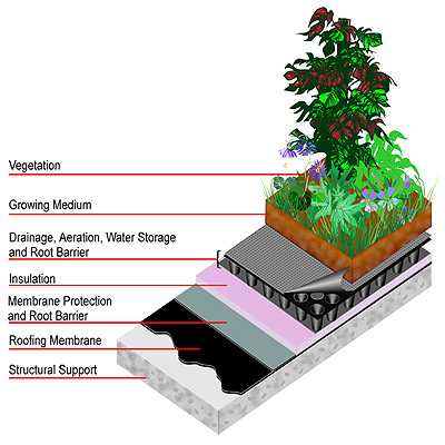 This Ugly Old House: Green Roofs part 1 What is a green roof?