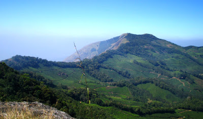reservation in munnar hotels