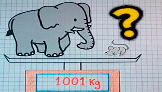 Solo un genio es capaz de ver el error aquí en este acertijo visual del elefante y el raton 