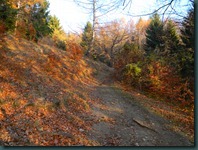 DSCN0663