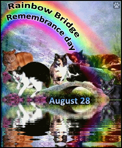 August 28 • Rainbow Bridge Remembrance Day (2)