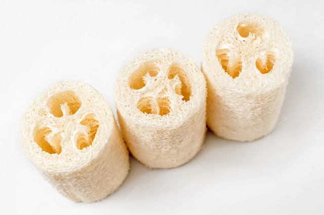 "A new technology for water purification inspired by natural loofah."