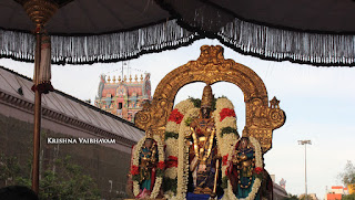 Vaigasi Masa Pravesam, Vaigasi,Upadesa RathinaMalai, ManavalaMaamunigal,Nammazhwar Purappadu,Video, Divya Prabhandam,Sri Parthasarathy Perumal, Triplicane,   Thiruvallikeni, Utsavam