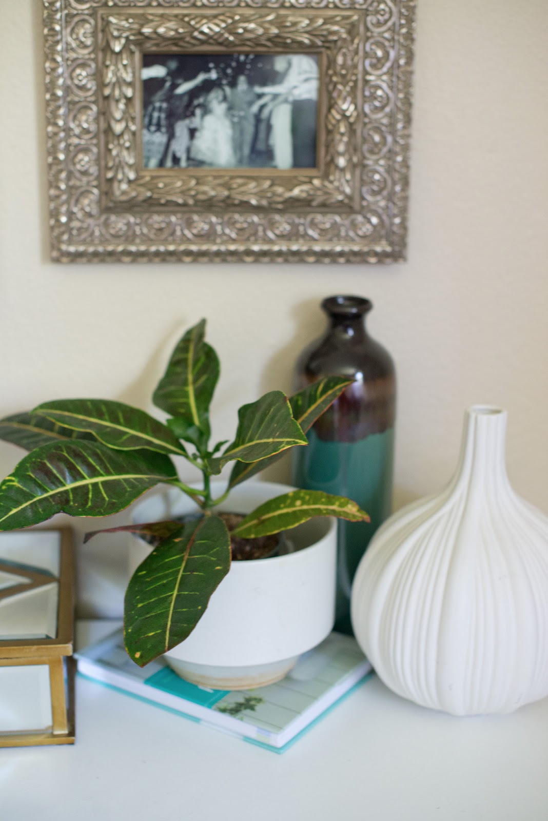 Domestic Fashionista Decorating With Houseplants