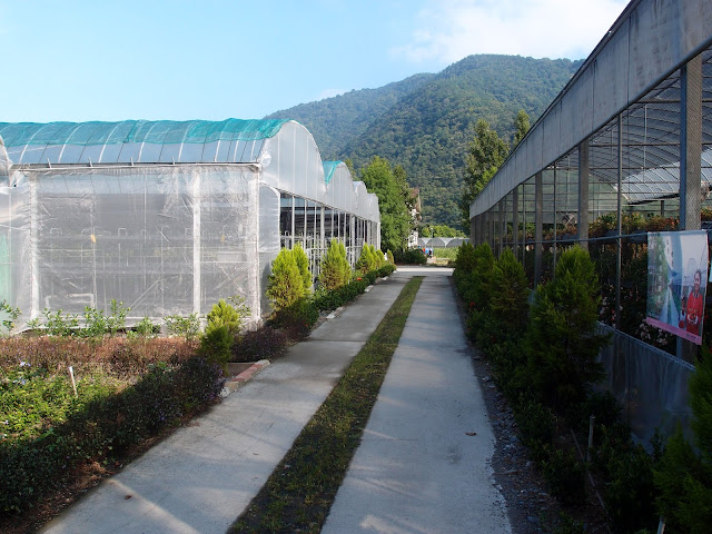 Tai Yi Leisure Farm