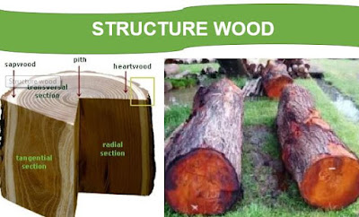 structure wood