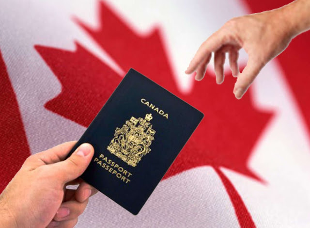 Canadian Skilled Immigration Consultant