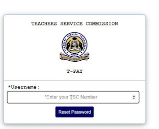 tpay interface