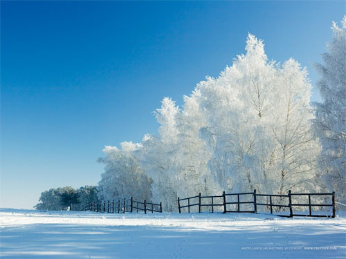 wallpaper white and blue. hair wallpaper white blue.