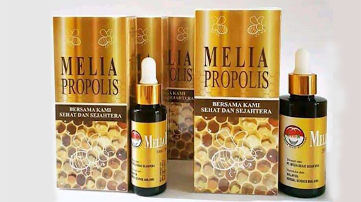 Apa Itu Melia Propolis