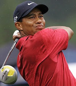 Tiger woods