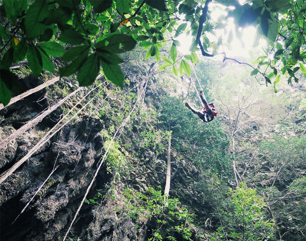 Pesona Cahaya Surga hingga Hutan Purba, Goa Jomblang Gunungkidul