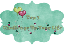 http://challengeupyourlife.blogspot.com/2015/03/challenge-9-winner-top-3.html#.VRRmko6rH-s