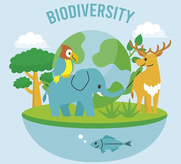 apa yang dimaksud dengan biodiversitas