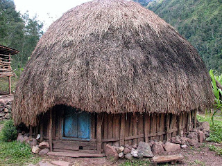 Rumah Tradisional Suku Papua