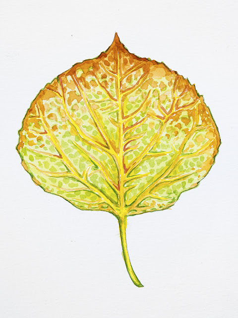 http://aaronspong.com/featured/aspen-leaf-green-and-orange-aaron-spong.html