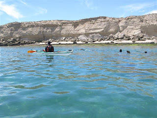 Patagonia. Expediciones en Kayak. Golfo San Jose. Peninsula Valdes