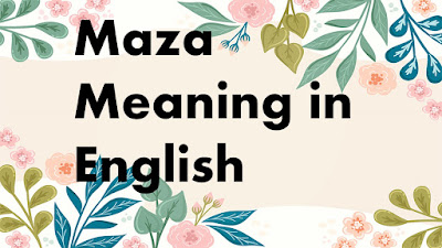 Maza meaning in english